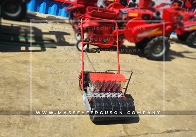 Vegetable Planter in Botswana